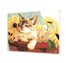 Malování podle čísel Spící Kočka Ve Slunečnicích